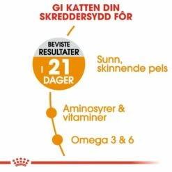 Royal Canin Hair & Skin Care 8 Royal Canin Hair & Skin Care -Kjæledyrutstyr Salg 2024 royal canin hair skin care 7c