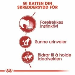 Royal Canin Instinctive In Jelly 12x85 G 8 Royal Canin Instinctive In Jelly 12x85 G -Kjæledyrutstyr Salg 2024 royal canin instinctive in jelly 12 x 85 g 44