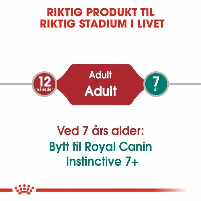 Royal Canin Instinctive In Jelly 12x85 G 5 Royal Canin Instinctive In Jelly 12x85 G - Bilde 5