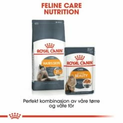Royal Canin Intense Beauty In Jelly 12x85 G -Kjæledyrutstyr Salg 2024 royal canin intense beauty in jelly 12 x 85 g c4