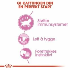 Royal Canin Kitten In Gravy Multipack 12x85 G 8 Royal Canin Kitten In Gravy Multipack 12x85 G -Kjæledyrutstyr Salg 2024 royal canin kitten gravy 12 x 85 g 1d