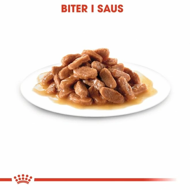 Royal Canin Kitten In Gravy Multipack 12x85 G 4 Royal Canin Kitten In Gravy Multipack 12x85 G - Bilde 4