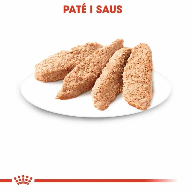 Royal Canin Kitten Loaf Multipack 12x85 G 4 Royal Canin Kitten Loaf Multipack 12x85 G - Bilde 4