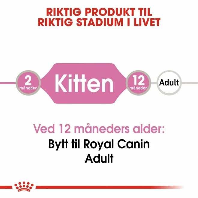 Royal Canin Kitten Loaf Multipack 12x85 G 5 Royal Canin Kitten Loaf Multipack 12x85 G - Bilde 5