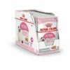 Royal Canin Kitten Loaf Multipack 12x85 G