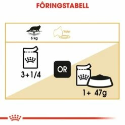 Royal Canin Maine Coon 12 X85 G -Kjæledyrutstyr Salg 2024 royal canin maine coon 12 x 85 g cc