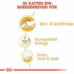 Royal Canin Maine Coon 12 X85 G -Kjæledyrutstyr Salg 2024 royal canin maine coon 12 x 85 g ef