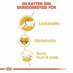 Royal Canin Maine Coon -Kjæledyrutstyr Salg 2024 royal canin maine coon b8