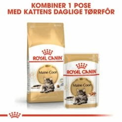 Royal Canin Maine Coon -Kjæledyrutstyr Salg 2024 royal canin maine coon c4