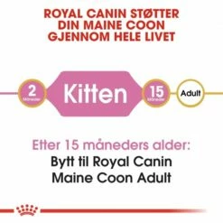 Royal Canin Maine Coon Kitten -Kjæledyrutstyr Salg 2024 royal canin maine coon kitten 43