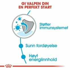 Royal Canin Mini Puppy 8 Royal Canin Mini Puppy -Kjæledyrutstyr Salg 2024 royal canin mini puppy 6d