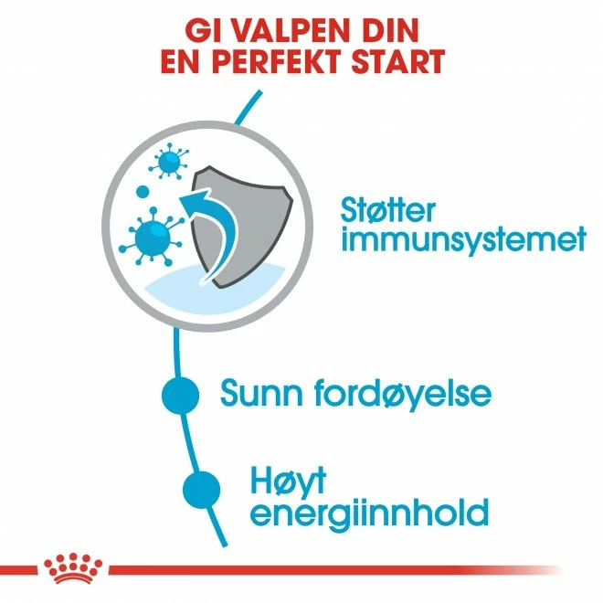 Royal Canin Mini Puppy 3 Royal Canin Mini Puppy - Bilde 3