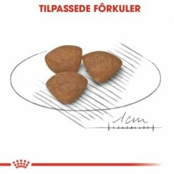 Royal Canin Mini Puppy 9 Royal Canin Mini Puppy -Kjæledyrutstyr Salg 2024 royal canin mini puppy 81