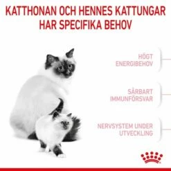 Royal Canin Mother & Babycat -Kjæledyrutstyr Salg 2024 royal canin mother babycat 12