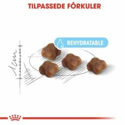 Royal Canin Mother & Babycat -Kjæledyrutstyr Salg 2024 royal canin mother babycat 1b