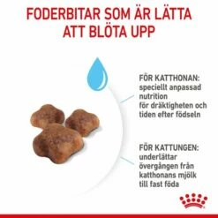 Royal Canin Mother & Babycat -Kjæledyrutstyr Salg 2024 royal canin mother babycat 25