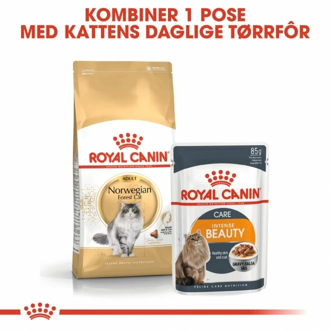 Royal Canin Norwegian Forest Cat 7 Royal Canin Norwegian Forest Cat - Bilde 7