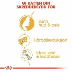 Royal Canin Norwegian Forest Cat 9 Royal Canin Norwegian Forest Cat -Kjæledyrutstyr Salg 2024 royal canin norwegian 3f