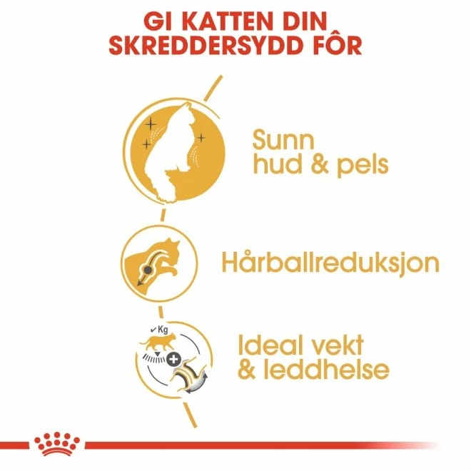 Royal Canin Norwegian Forest Cat 3 Royal Canin Norwegian Forest Cat - Bilde 3