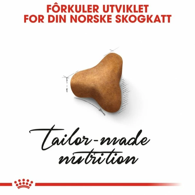Royal Canin Norwegian Forest Cat 4 Royal Canin Norwegian Forest Cat - Bilde 4