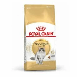 Royal Canin Norwegian Forest Cat