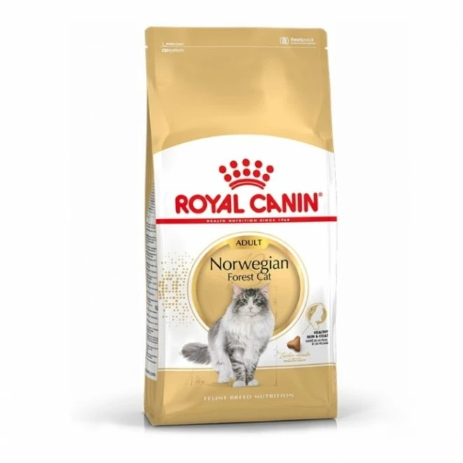 Royal Canin Norwegian Forest Cat 1 Royal Canin Norwegian Forest Cat