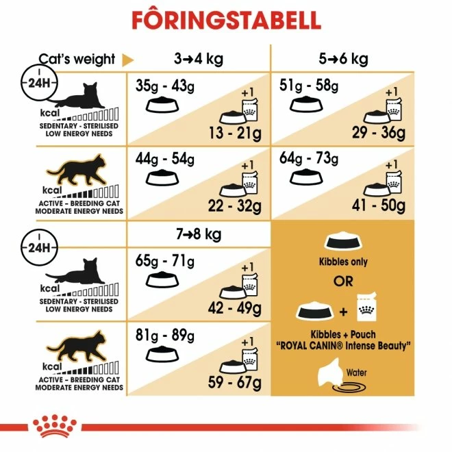 Royal Canin Norwegian Forest Cat 5 Royal Canin Norwegian Forest Cat - Bilde 5