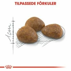 Royal Canin Outdoor 7+ -Kjæledyrutstyr Salg 2024 royal canin outdoor 7 b0