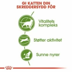 Royal Canin Outdoor 7+ -Kjæledyrutstyr Salg 2024 royal canin outdoor 7 d3