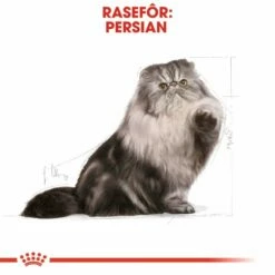 Royal Canin Persian -Kjæledyrutstyr Salg 2024 royal canin persian a7