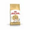 Royal Canin Siamese