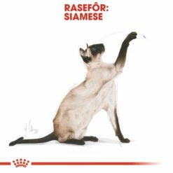 Royal Canin Siamese 12 Royal Canin Siamese -Kjæledyrutstyr Salg 2024 royal canin siamese ea