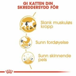 Royal Canin Siamese 9 Royal Canin Siamese -Kjæledyrutstyr Salg 2024 royal canin siamese fd