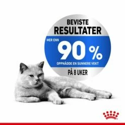 Royal Canin Cat Light Weight Care Jelly, 12x85g -Kjæledyrutstyr Salg 2024 royal canin ultra light in jelly 12 x 85 g 38