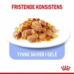 Royal Canin Cat Light Weight Care Jelly, 12x85g -Kjæledyrutstyr Salg 2024 royal canin ultra light in jelly 12 x 85 g f9